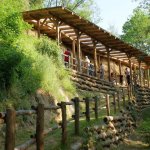 Iniziativa Giornata delle famiglie, osservazione fossili - Foto p.g.c. Ente Parco Parco Paleontologico Astigiano 